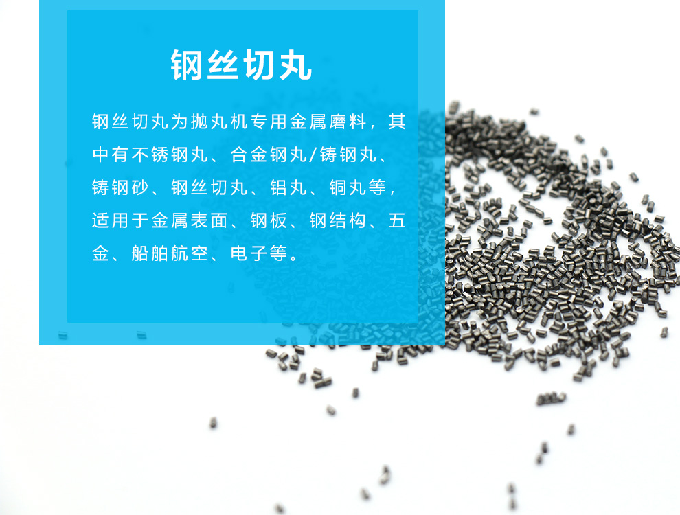 江蘇拋丸機(jī)除銹設(shè)備 1 鋼絲切丸 1